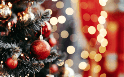 I nostri migliori Auguri per un sereno Natale ed un Felice Anno Nuovo